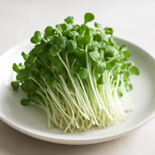 かいわれだいこん 芽ばえ 生のイメージ画像