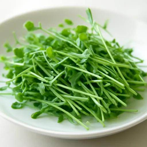 トウミョウ 芽ばえ 生のイメージ画像