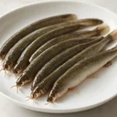 どじょう 生のイメージ画像