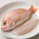 いとよりだい生のイメージ画像