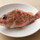 かさご生のイメージ画像