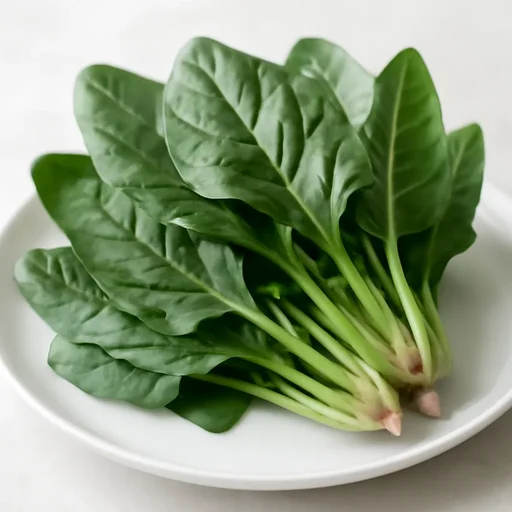 ほうれんそう 葉 夏採り 生のイメージ画像