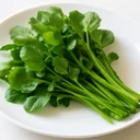 クレソン 茎葉 生のイメージ画像