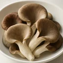 くろあわびたけ 生のイメージ画像