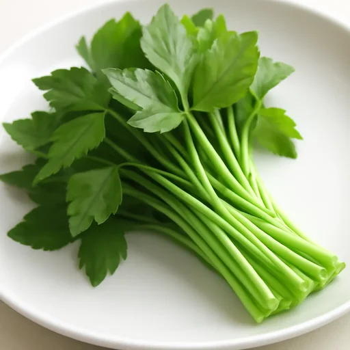 糸みつば 葉 生のイメージ画像