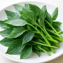 モロヘイヤ 茎葉 生のイメージ画像