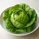 レタス 水耕栽培 結球葉 生のイメージ画像