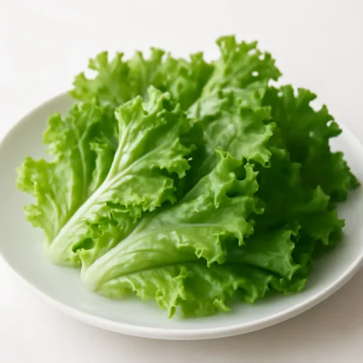 リーフレタス 葉 生のイメージ画像