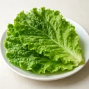 サンチュ 葉 生のイメージ画像