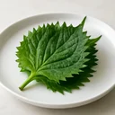 しそ 葉 生のイメージ画像