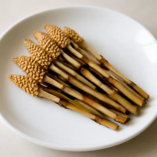 つくし 胞子茎 生のイメージ画像