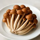 やなぎまつたけ 生のイメージ画像