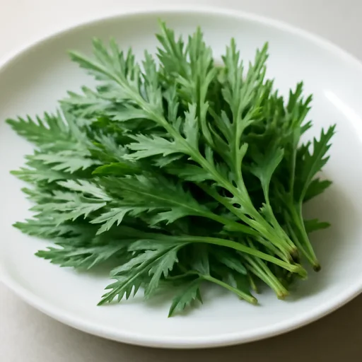 よもぎ 葉 生のイメージ画像