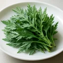 よもぎ 葉 生のイメージ画像