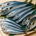 青魚のイメージ