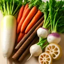 根菜のイメージ