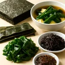 海藻のイメージ