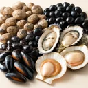 貝類のイメージ