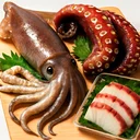 いか・たこのイメージ